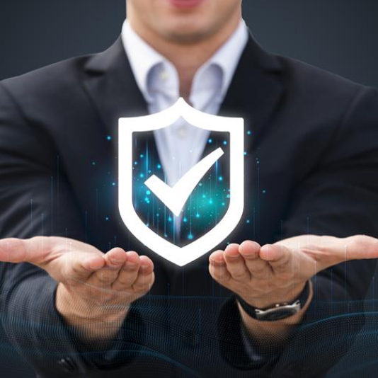 Estrutura e organização